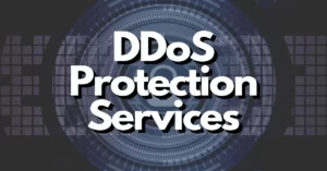 setting the standard for ddos protection services